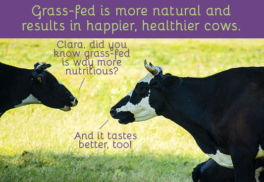 Why Going Vegetarian Or Vegan Isn't As Healthy As You Think
