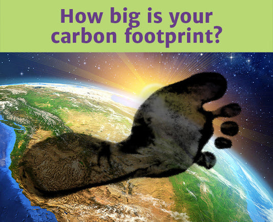 Earth Day Essentials(Part I) Reduce Your Carbon Footprint