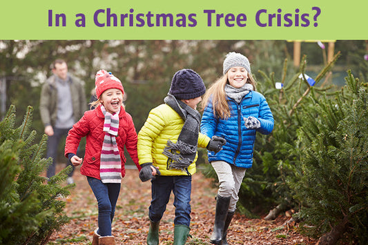 Living "The Twelve Pains of Christmas"?