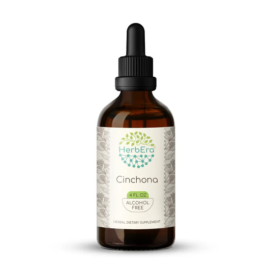 HerbEra Cinchona Tincture