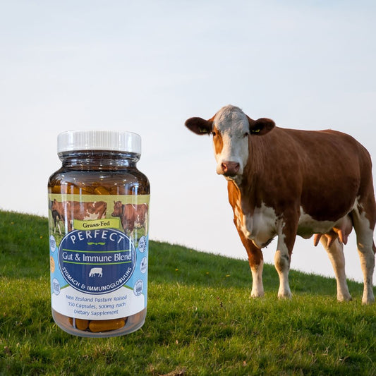Perfect Gut & Immune Blend
